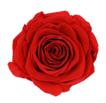 Kosmetika s vůní damašské růže